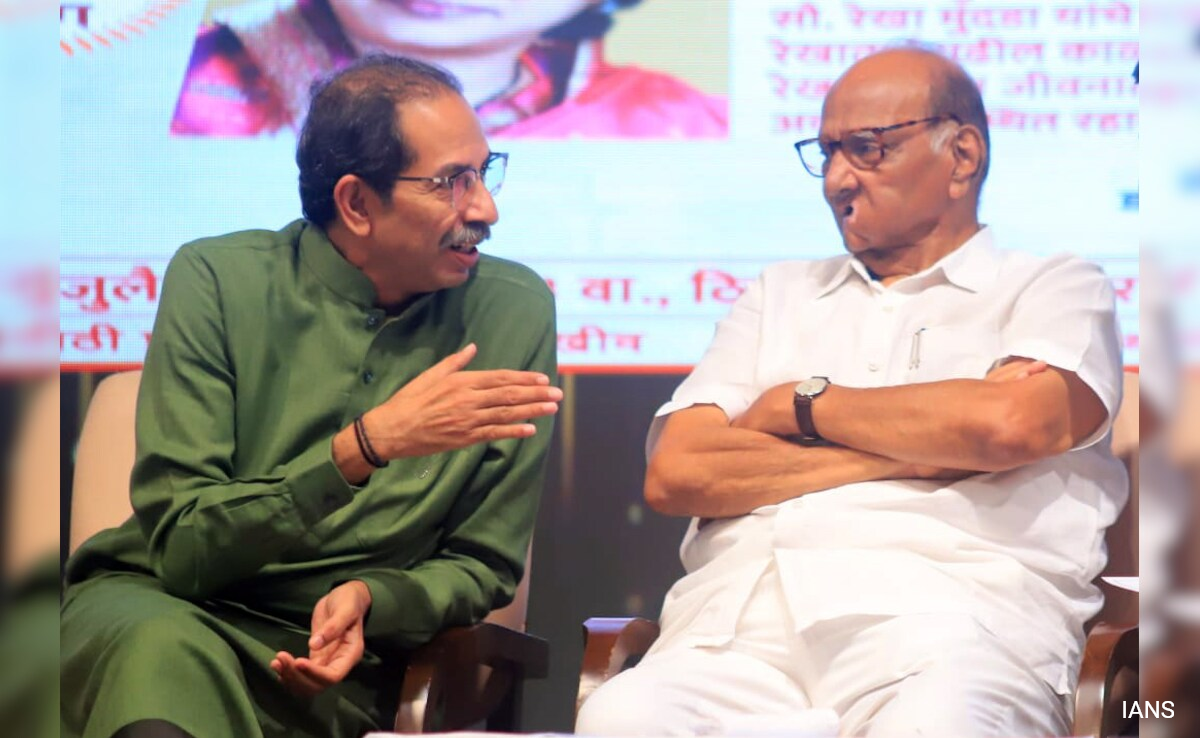 In Maharashtra, OGs Uddhav Thackeray, Sharad Pawar Stand Tall