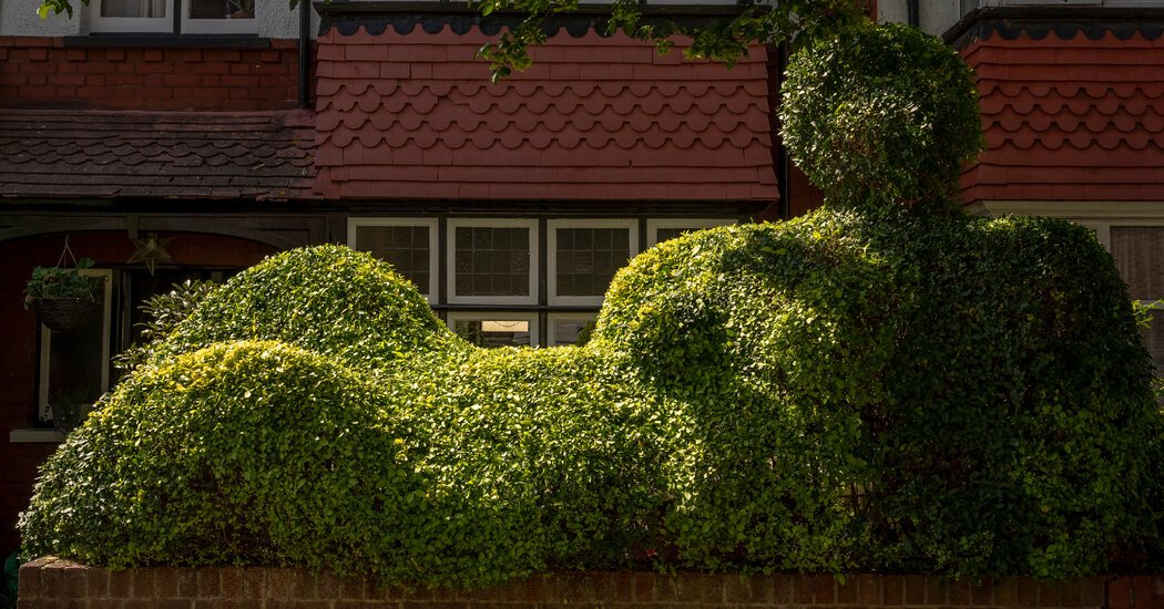 You See a Hedge. He Sees One thing Else.
