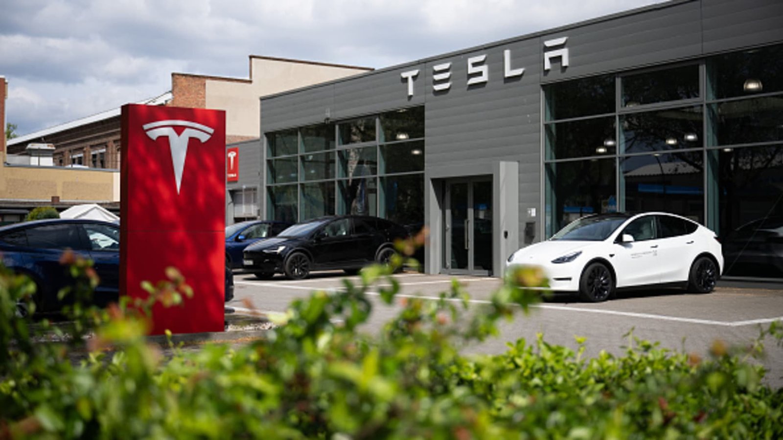 Analyst Dan Ives raises Tesla worth goal to $300, sees $400 attainable in 2025