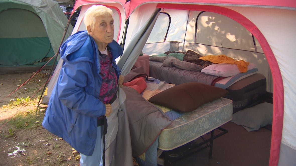 WATCH | Senior couple dwelling at Halifax homeless encampment desperately in search of housing