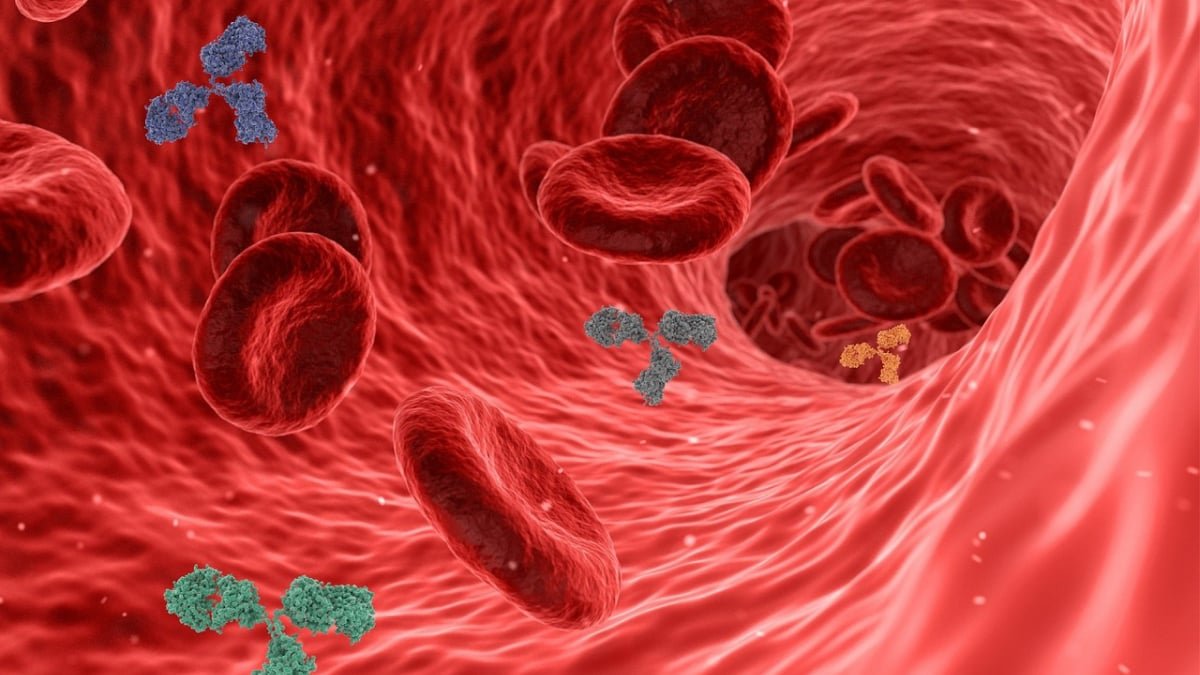 New MAL Blood Group System Recognized, Revealing Genetic Foundation of Uncommon Blood Sorts