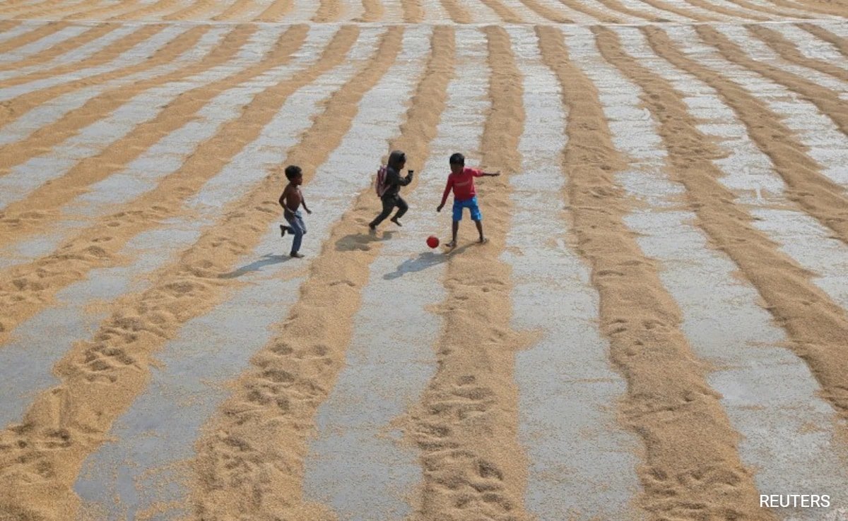 Water Disaster Threatening Half Of International Meals Manufacturing: Report