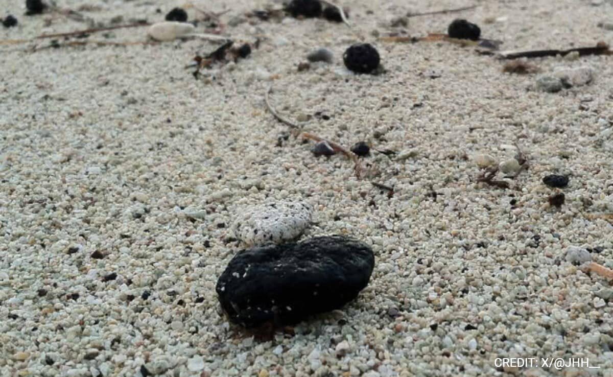 What Are Tar Balls, The Thriller Particles That Is Closing Seashores In Sydney