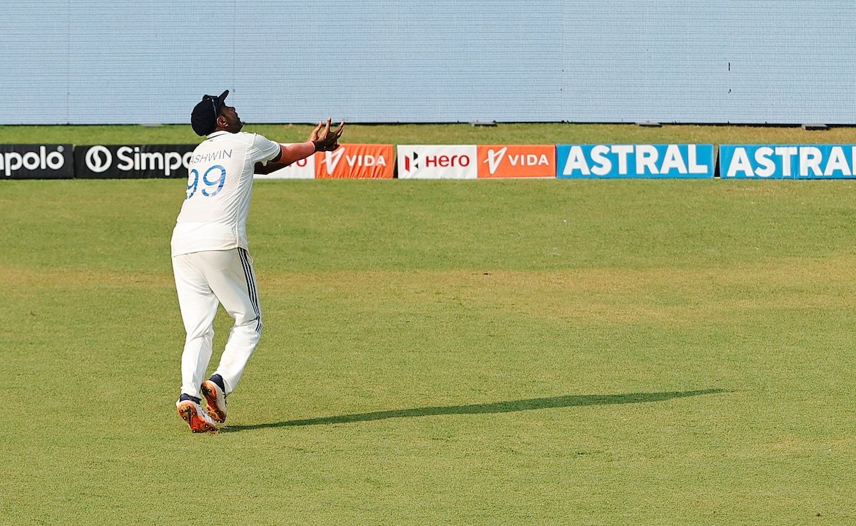 38-12 months-Outdated Ravichandran Ashwin Takes “Best Catch Of His Profession” vs NZ, World In Awe. Watch